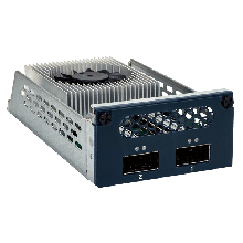 PulM-100G2SF-E810 100GbE Network Module